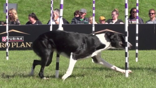 体育商业联盟管理